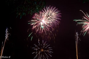IMG_4455