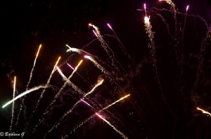 IMG_4511