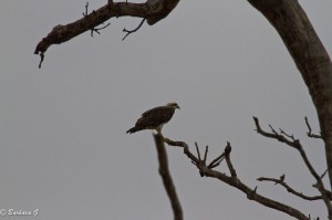 IMG_4545