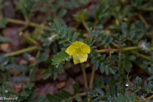 IMG_4560