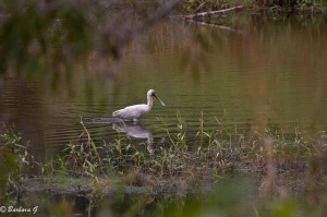 IMG_4579