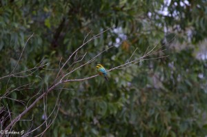 IMG_4657