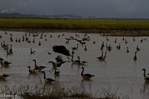 IMG_4676