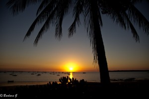 IMG_4727