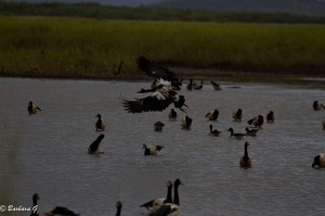 IMG_4728