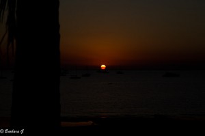IMG_4737