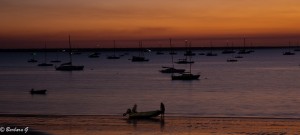IMG_4762