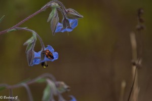 IMG_4870