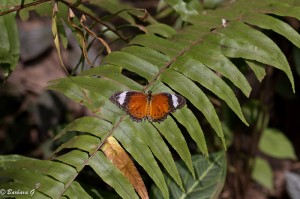 IMG_4885