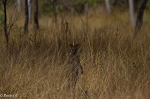 IMG_4892