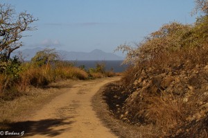 IMG_4948