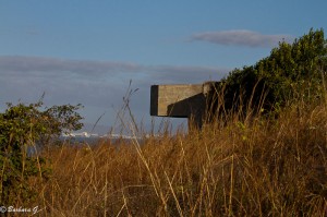 IMG_4964