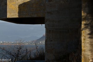 IMG_4971