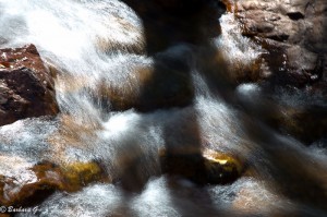 IMG_5034