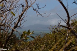 IMG_5038