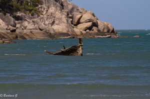 IMG_5055