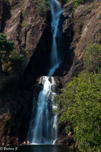 IMG_5062
