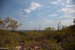 IMG_5125