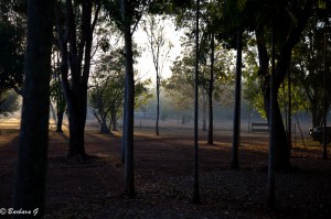 IMG_5127