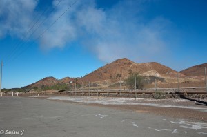 IMG_5493