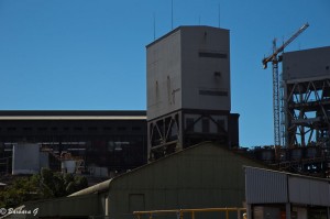 IMG_5507