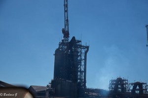 IMG_5525