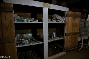 IMG_5554
