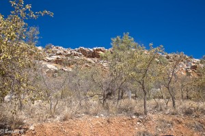 IMG_5571