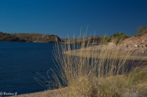 IMG_5582