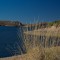 IMG_5582
