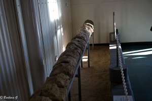 IMG_5626