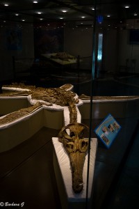 IMG_5633
