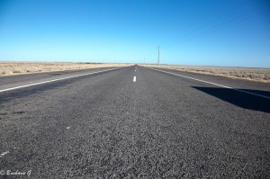 IMG_5642