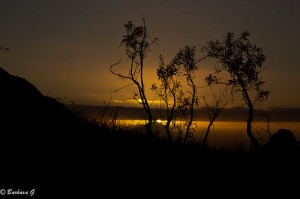 IMG_5724