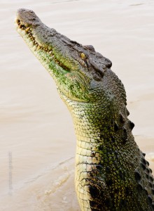 IMG_7048