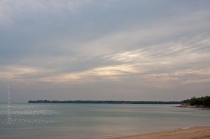 IMG_7366