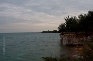 IMG_7382