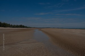 IMG_7405