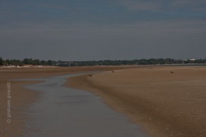 IMG_7406