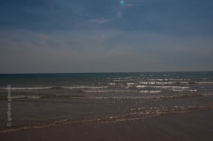 IMG_7409