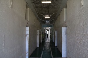 IMG_7416