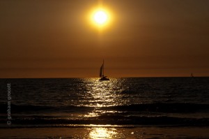 IMG_7432
