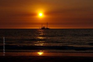 IMG_7438