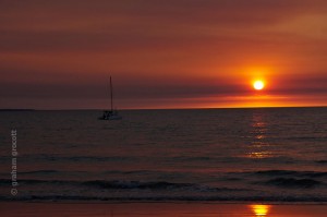 IMG_7446