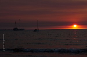 IMG_7455