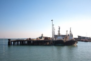 IMG_7505