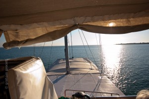 IMG_7517
