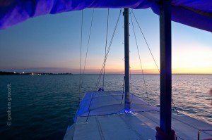IMG_7571