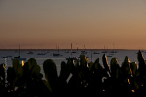 IMG_7726