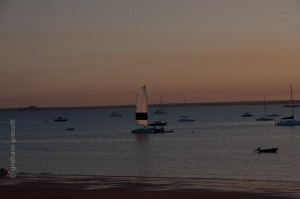 IMG_7734